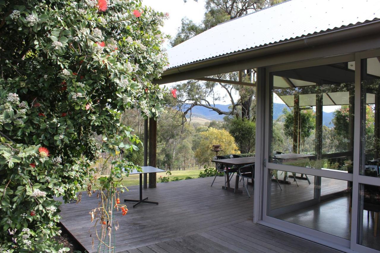 Elfin Hill Vineyard Accommodation Pokolbin Exterior foto